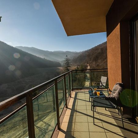 Forest Breeze ApartTerrace Brașov Exterior foto