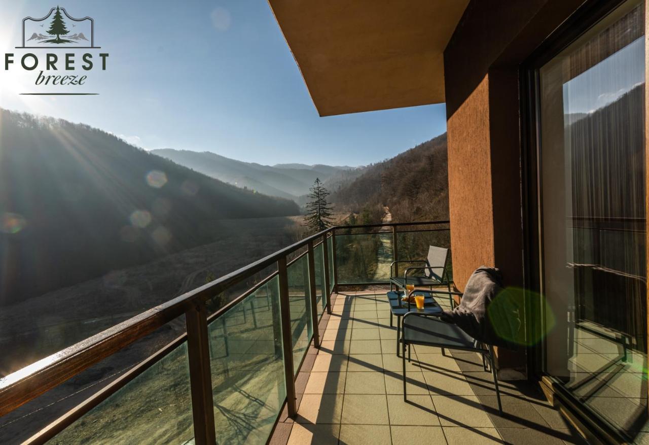 Forest Breeze ApartTerrace Brașov Exterior foto