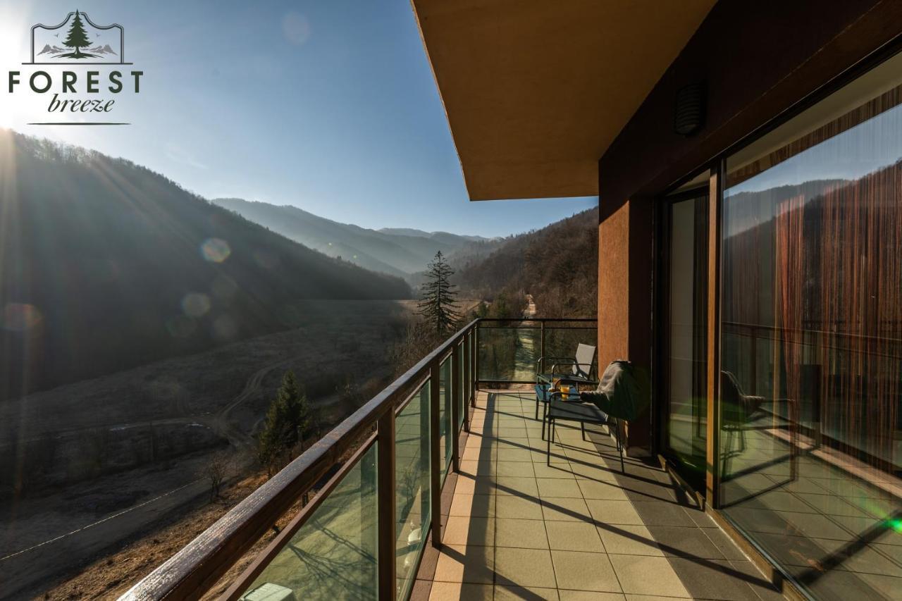 Forest Breeze ApartTerrace Brașov Exterior foto