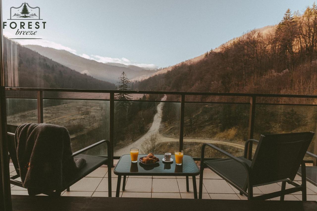 Forest Breeze ApartTerrace Brașov Exterior foto