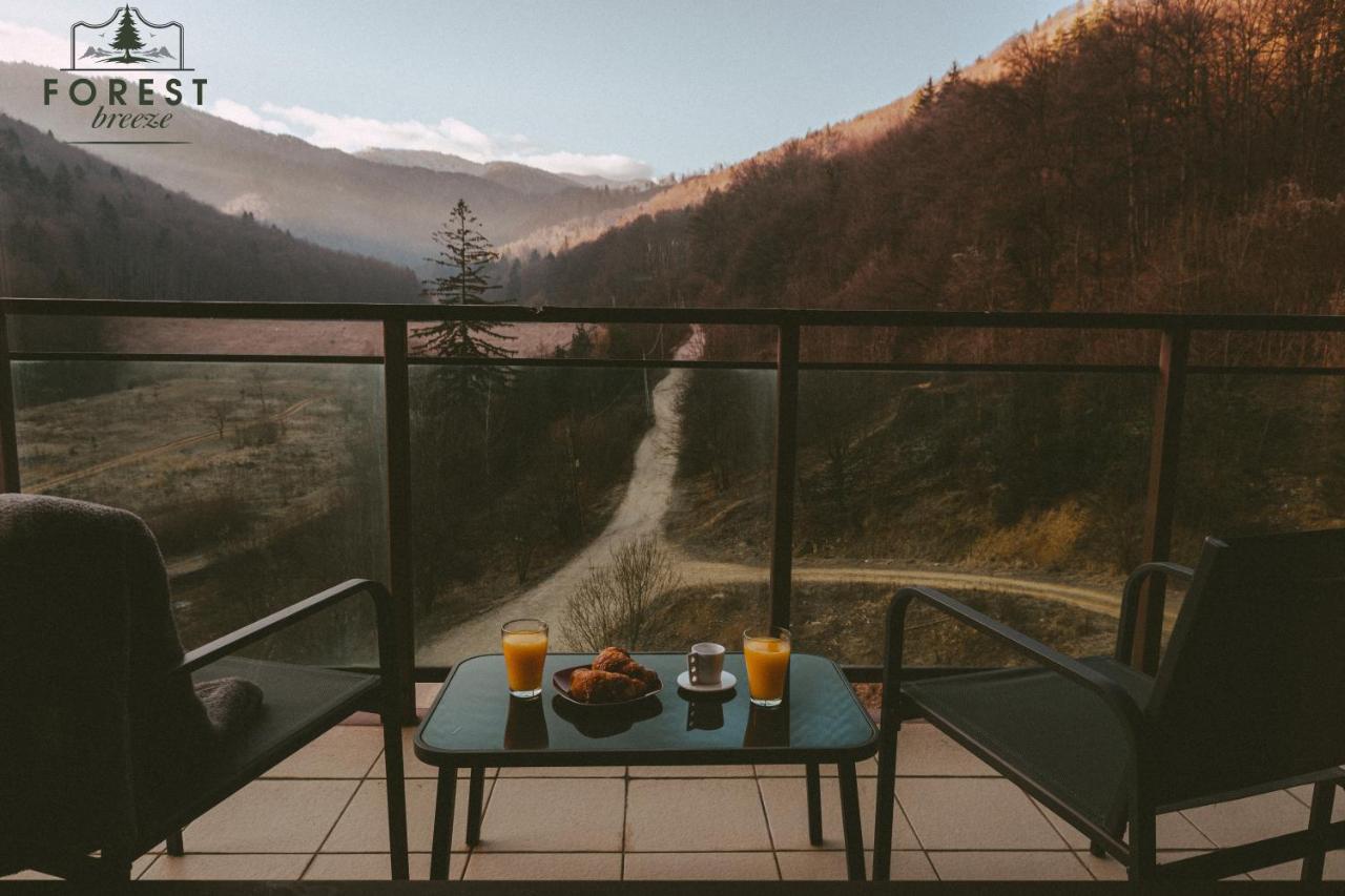 Forest Breeze ApartTerrace Brașov Exterior foto