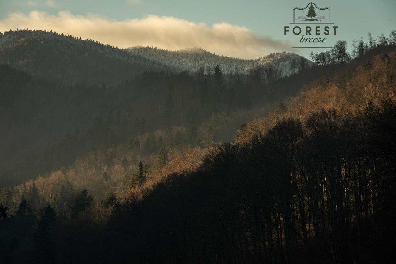 Forest Breeze ApartTerrace Brașov Exterior foto