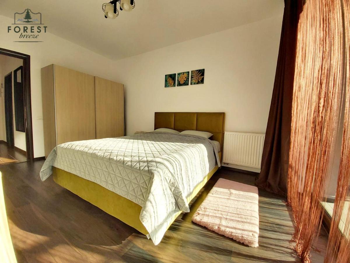 Forest Breeze ApartTerrace Brașov Exterior foto