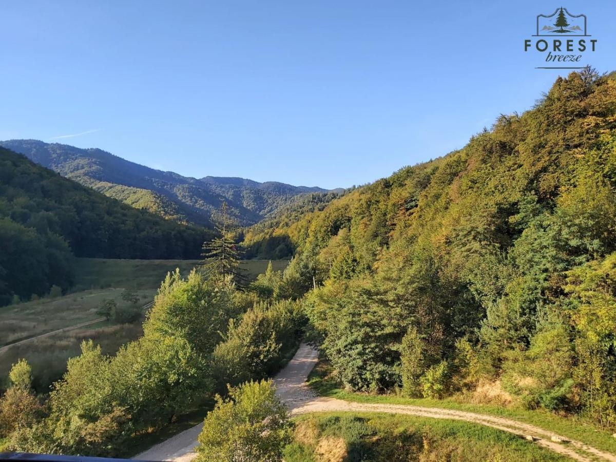 Forest Breeze ApartTerrace Brașov Exterior foto