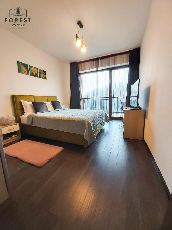 Forest Breeze ApartTerrace Brașov Exterior foto