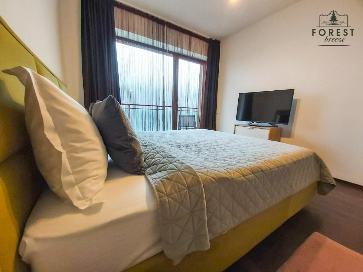 Forest Breeze ApartTerrace Brașov Exterior foto