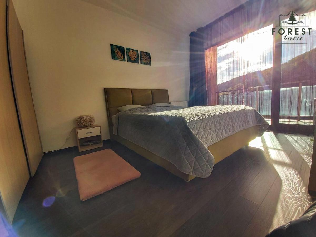 Forest Breeze ApartTerrace Brașov Exterior foto