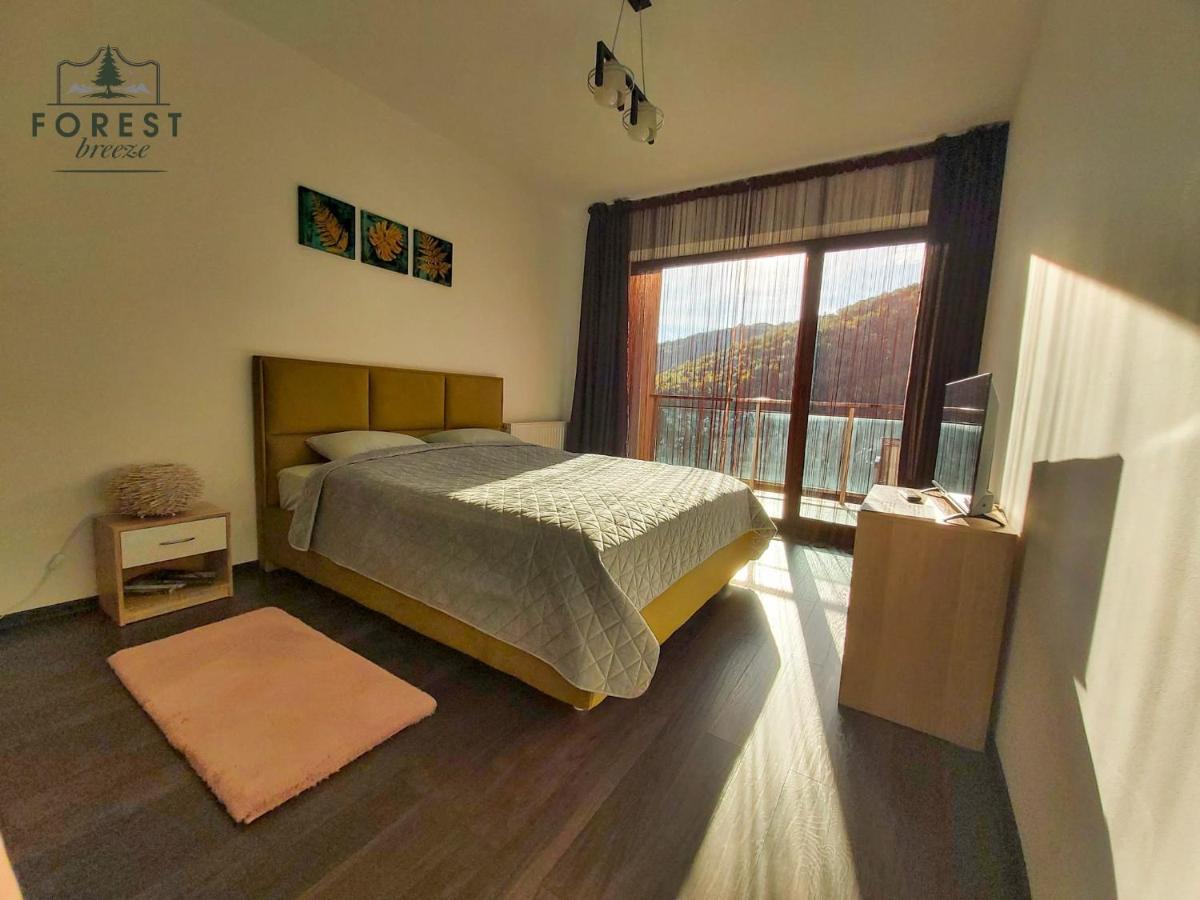 Forest Breeze ApartTerrace Brașov Exterior foto