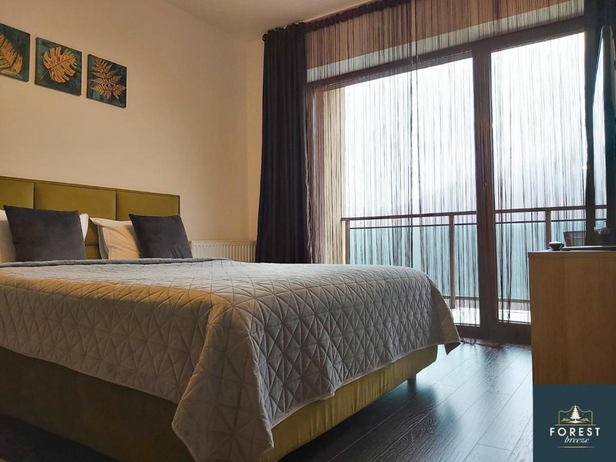 Forest Breeze ApartTerrace Brașov Exterior foto